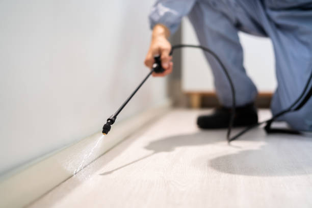 Licensed Pest Control service in Sardinia, OH - Show Me Pest Control