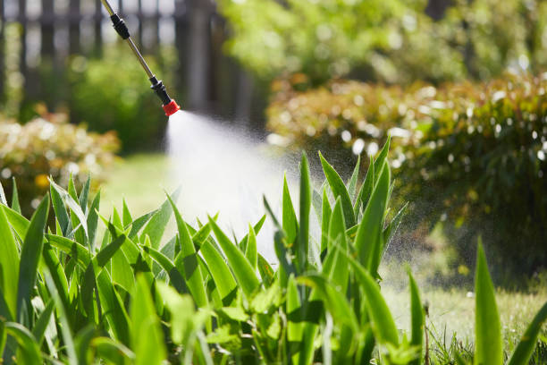 24/7 Emergency Mosquito Control experts in Sardinia, OH