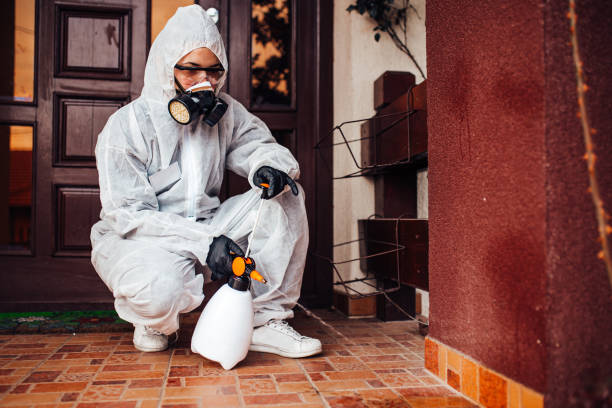 Reliable Mosquito Control contractor in Sardinia, OH by Show Me Pest Control